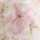 IVORY-PINK