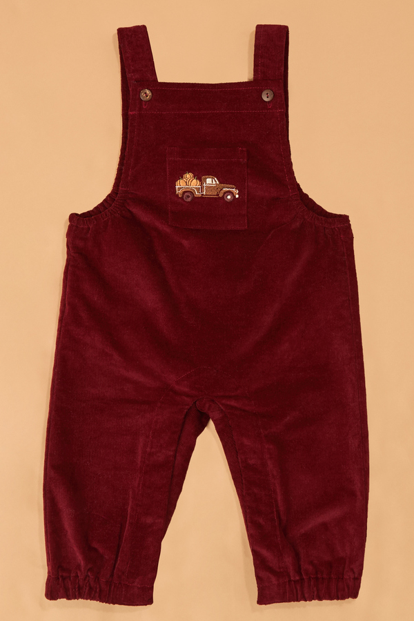 Feeling Fall Corduroy Overalls Detail 5 - Altar'd State