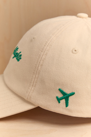 Catching Flights Hat - Altar'd State - 