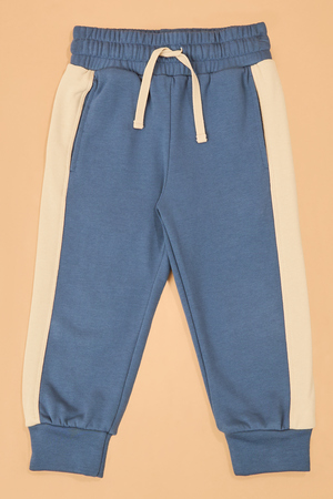 Walker Striped Jogger - Altar'd State - 