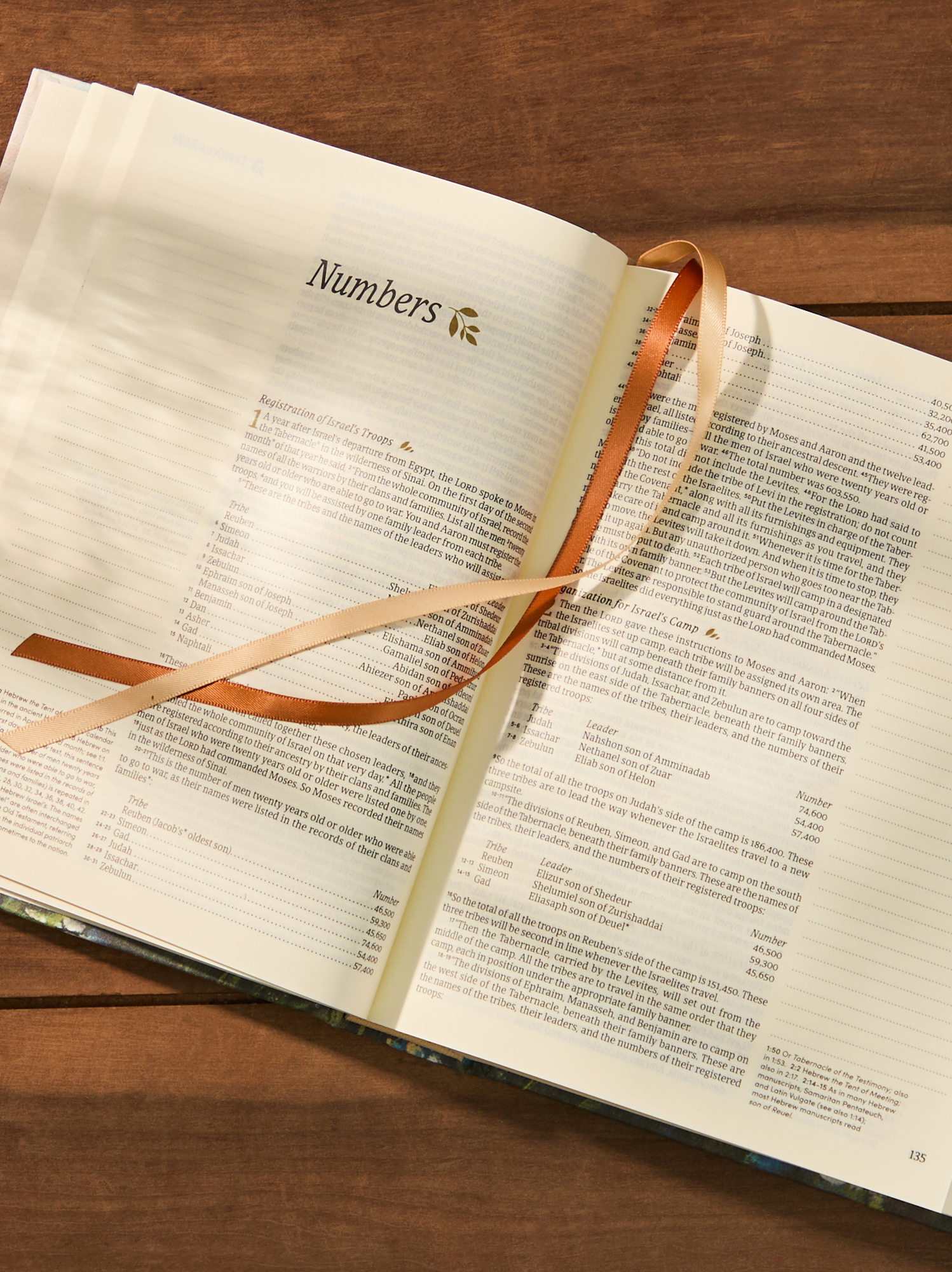Hosanna Revival NLT Journaling Bible: Coram Theme | Altar'd State