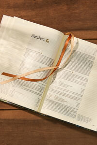 Hosanna Revival NLT Journaling Bible: Coram Theme Detail 3 - Altar'd State