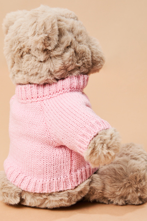 Big Sis Teddy Bear by Mud Pie - Altar'd State - 