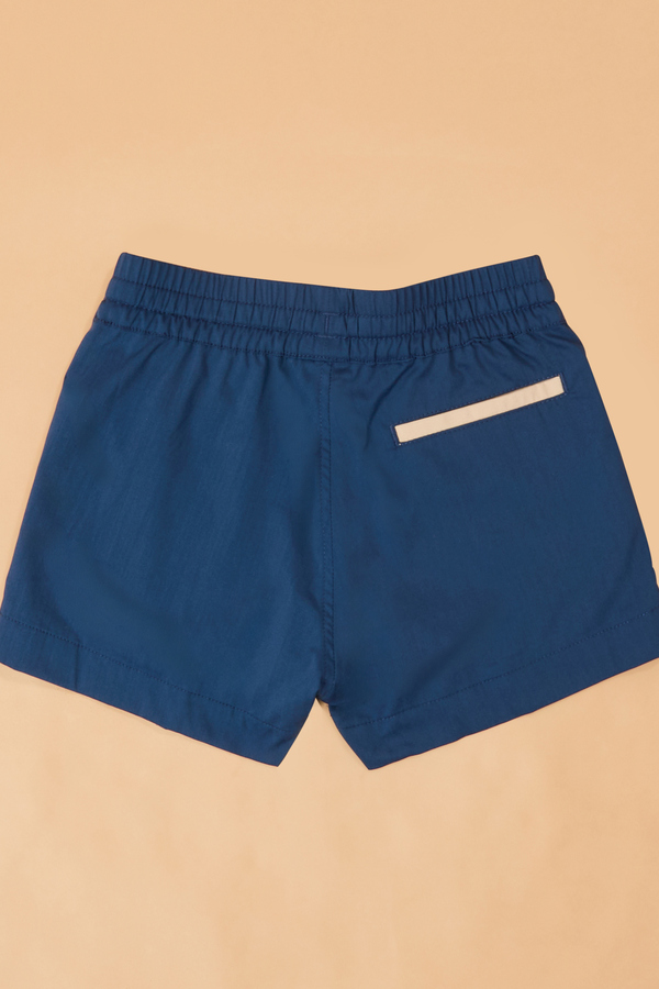 Hudson Athletic Boy Short Detail 3 - Altar'd State
