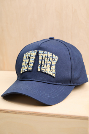 New York Stripe Trucker - Altar'd State - 
