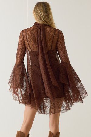 Langley Lace Mini Dress - Altar'd State - 