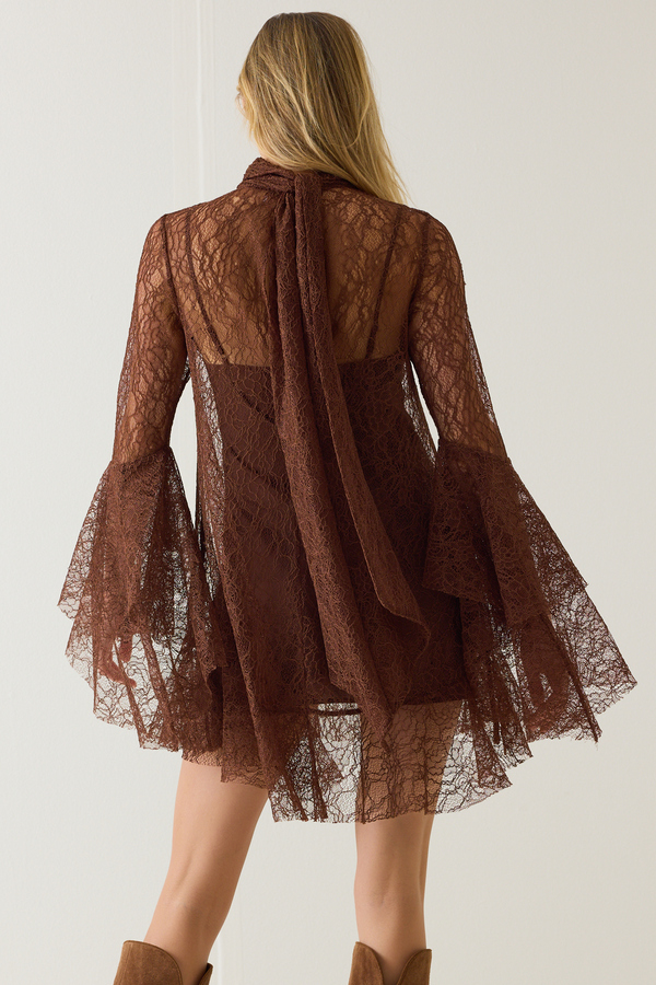 Langley Lace Mini Dress Detail 8 - Altar'd State