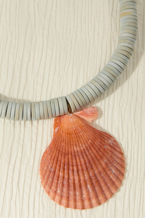 Skye Statement Shell Necklace - Altar'd State - 