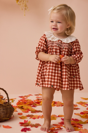 Clementine Gingham Embroidered Baby Dress - Altar'd State - 
