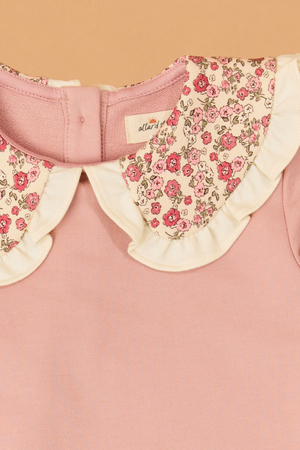 Sara Ruffle Collar Long Sleeve - Altar'd State