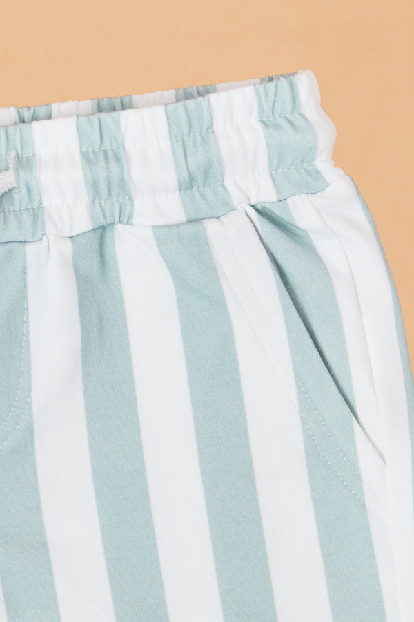 Cash Striped Short Detail 3 - Altar'd State