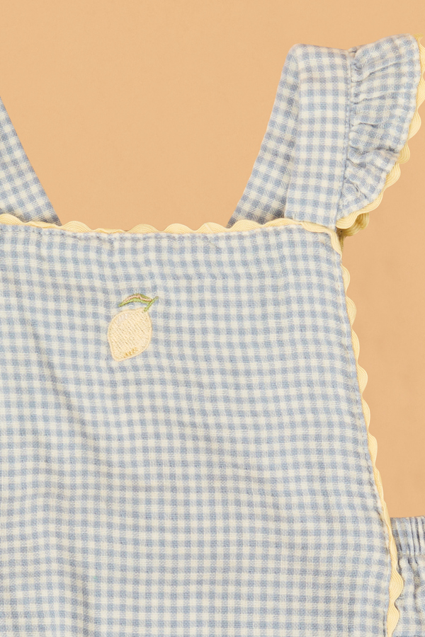 Luciana Lemon Ricrac Sunsuit Detail 2 - Altar'd State