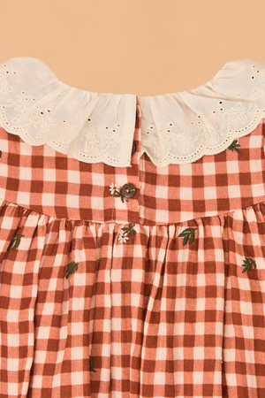 Clementine Gingham Embroidered Baby Dress - Altar'd State