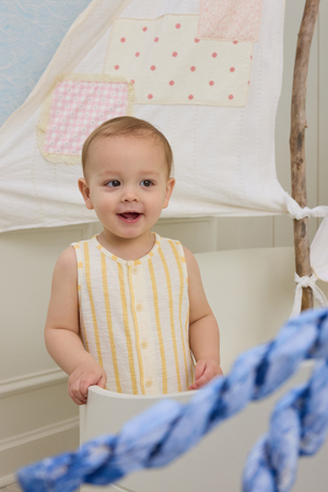 Murphy Stripe Shortall - Altar'd State - 