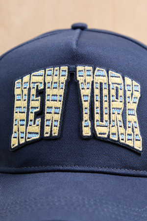 New York Stripe Trucker - Altar'd State - 
