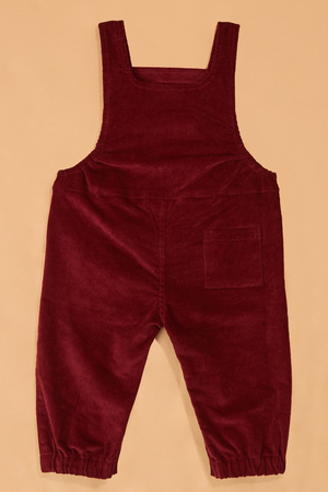 Feeling Fall Corduroy Overalls - Altar'd State - 