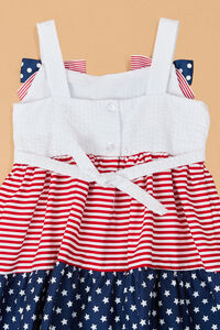 Liberty Stars & Stripes Americana Dress Detail 3 - Altar'd State