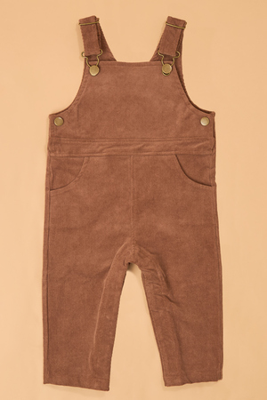 Carson Corduroy Overall - Altar'd State - 