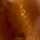 BROWN-GOLD
