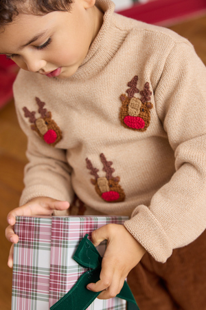 Rudolph Rollneck Sweater - Altar'd State - 