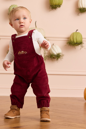 Feeling Fall Corduroy Overalls - Altar'd State - 