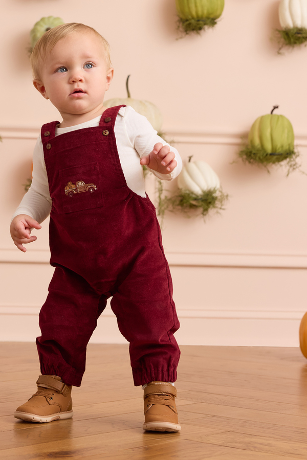 Feeling Fall Corduroy Overalls Detail 3 - Altar'd State