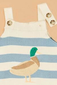 Duck Embroidered Stripe Shortall Detail 3 - Altar'd State