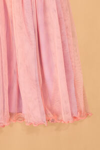Paige Pumpkin Tutu Dress Detail 3 - Altar'd State