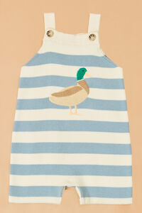 Duck Embroidered Stripe Shortall Detail 2 - Altar'd State