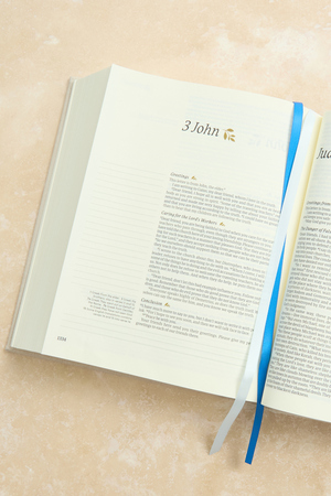 NLT Adelaide Bible by Hosanna Revival - Altar'd State - 