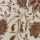 IVORY-BROWN
