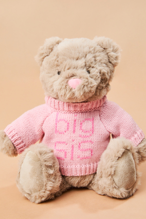 Big Sis Teddy Bear by Mud Pie - Altar'd State - 