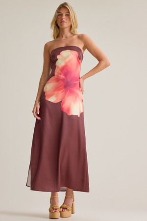 Stormi Strapless Maxi Dress - Altar'd State