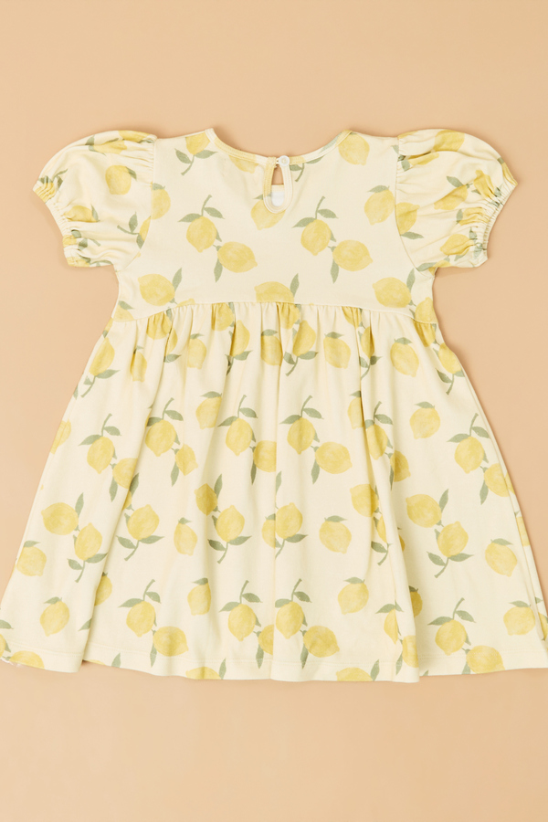 Lucia Lemons Puff Sleeve Dress Detail 4 - Altar'd State