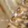 GOLD-IVORY