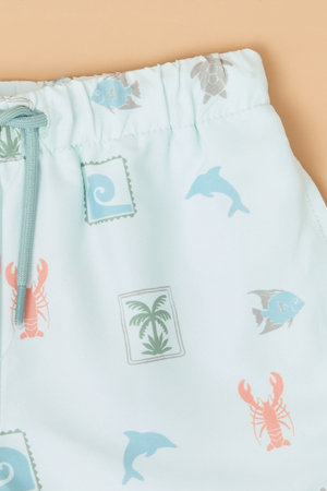 Bentley Beach Boy Swim Trunks - Altar'd State - 