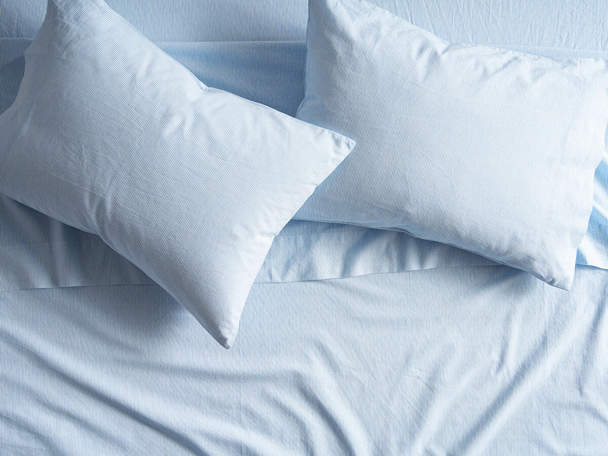 Thistle Cotton Single Pillowcase