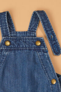 Scout Denim Cargo Overalls Detail 2 - Altar'd State