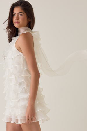 Ashen Ruffle Mini Dress - Altar'd State