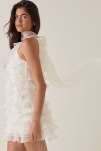 Ashen Ruffle Mini Dress Detail 3 - Altar'd State