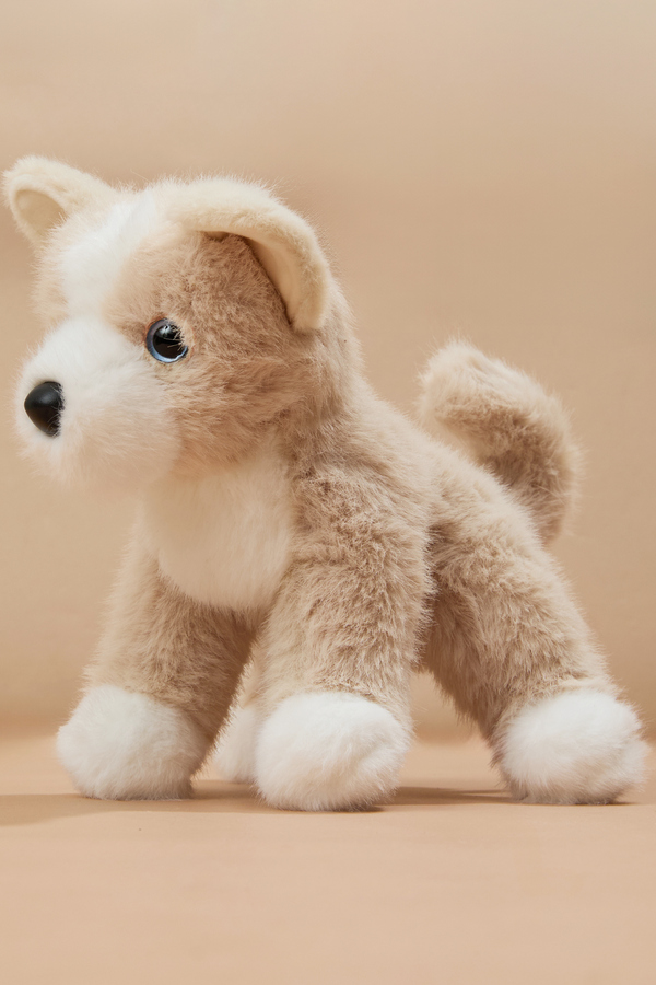 Pookie Pomsky Plush - Altar'd State