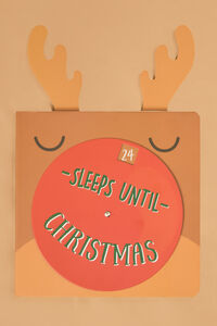 Reindeer Sleeps Until Christmas Book Detail 4 - Altar'd State