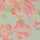 GREEN-PINK