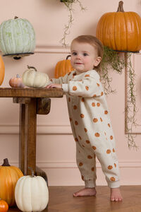 Sweet Squash Long Sleeve Jumpsuit - Altar'd State