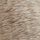 OAK