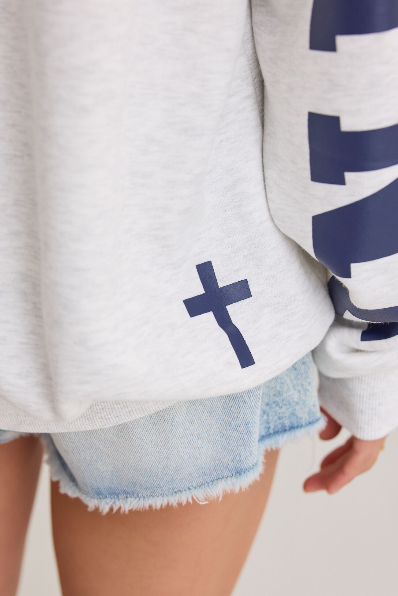 Jesus Is King Pullover