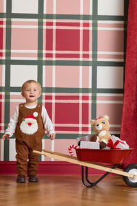 Emmanuel Santa Overalls Set Detail 3 - Altar'd State