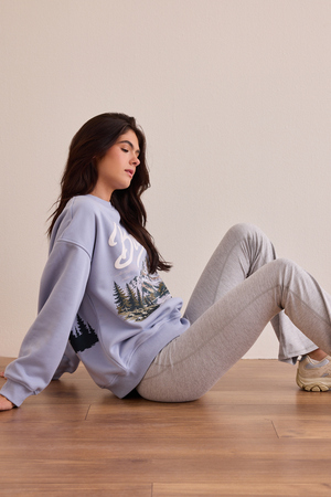 Banff Mountain Crew Neck - Altar'd State